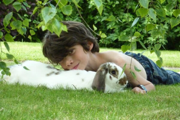 Kaninchen können Menschen lieben