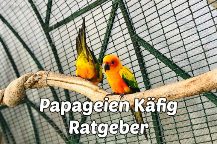 Käfig für Papageien